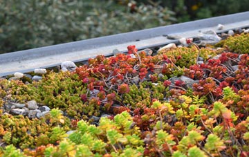 the cost of Dunkenny green roof installation