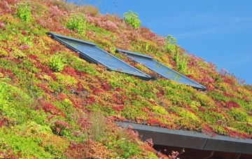 Dunkenny living roof systems