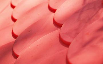 Dunkenny plastic roof costs