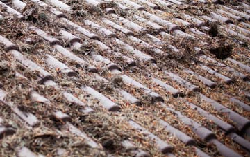 Dunkenny roof cleaning companies